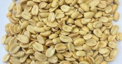 AMENDOIM TORRADO AMENDOIM TORRADO